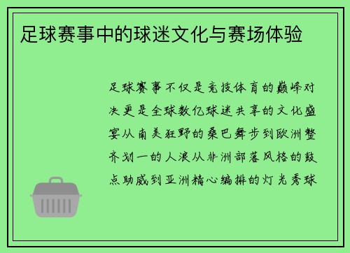足球赛事中的球迷文化与赛场体验